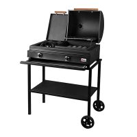 باربیکیو همراه خوراک پز گازی